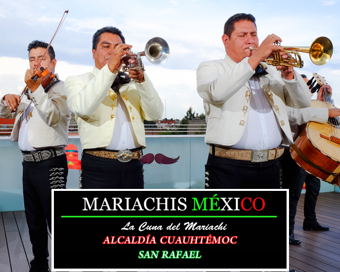 Mariachis en La Colonia San Rafael 